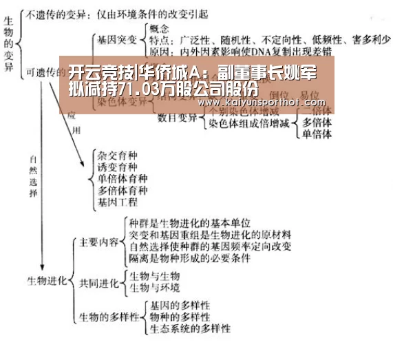 开云竞技