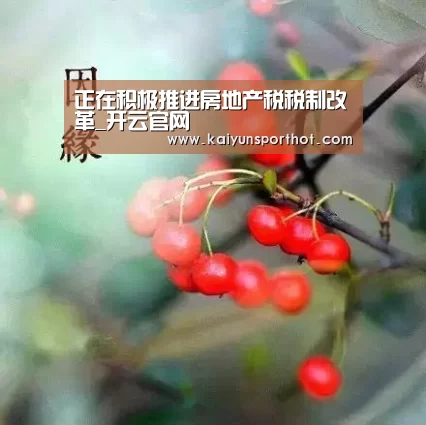 正在积极推进房地产税税制改革_开云官网