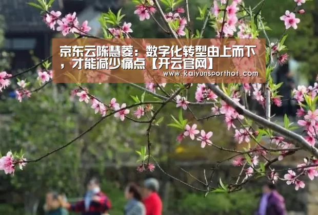 开云竞技