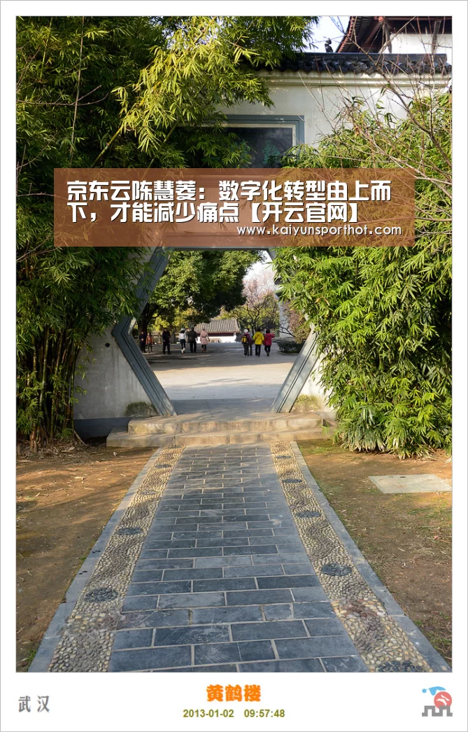 开云体育
